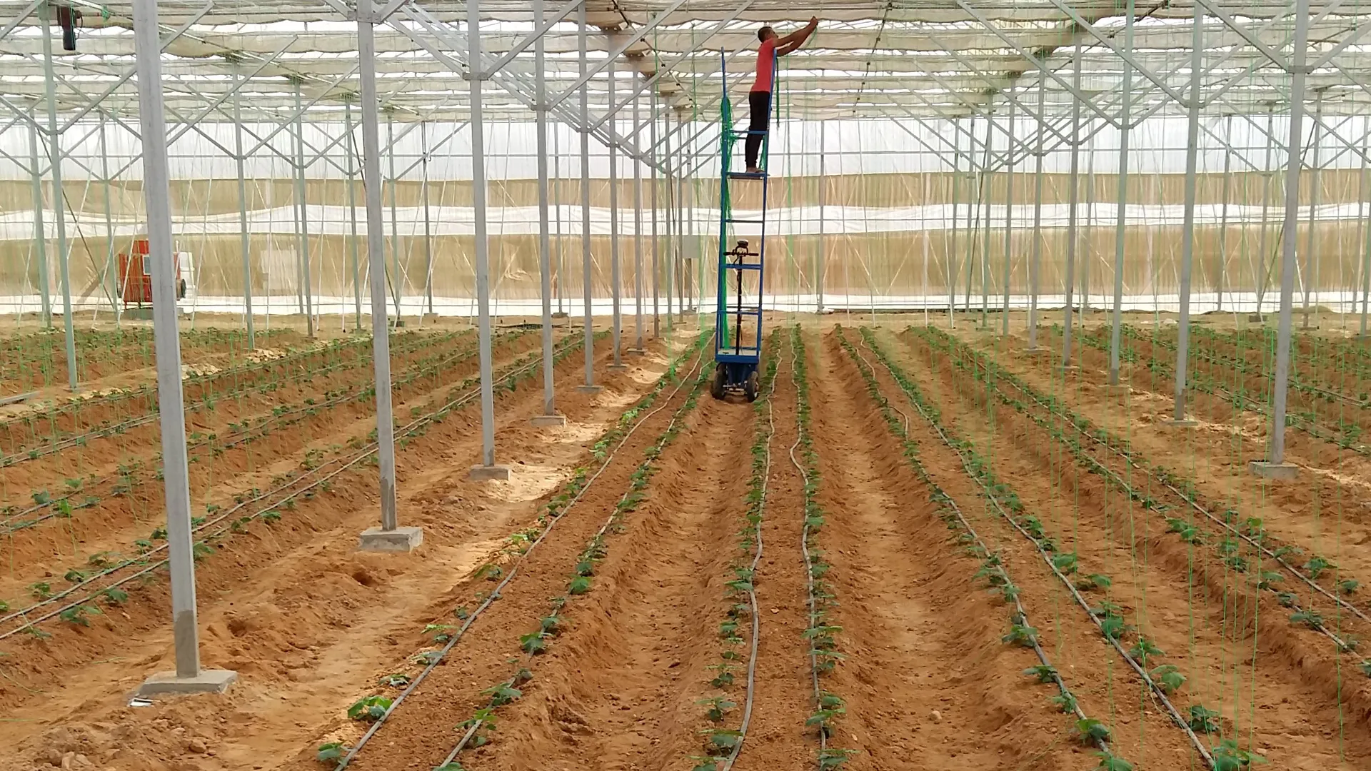 vertical_0000s_0006_20181002_142556